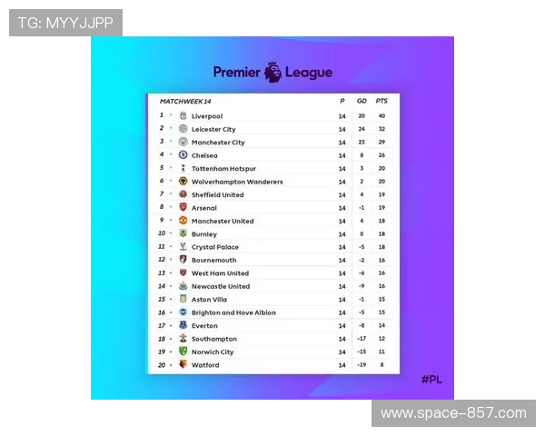 死忠看台文化调查报告：英超球迷组织化程度全球领先